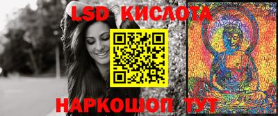 apvp Бийск