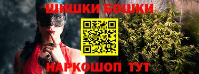 apvp Бийск