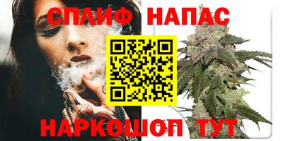 apvp Бийск