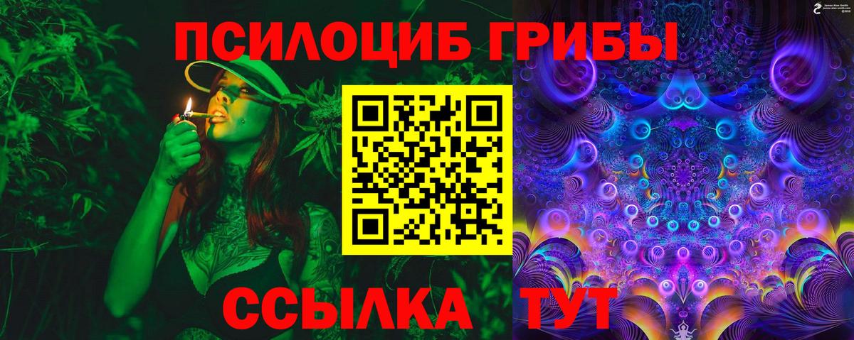 Вязники  Псилоцибиновые грибы Psilocybine cubensis  Вход с VPN 