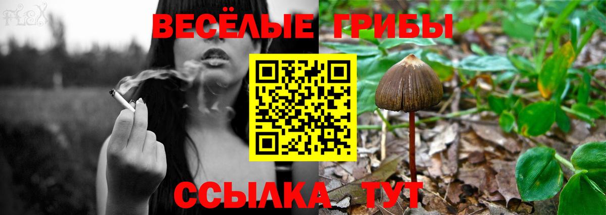 Вязники  Вход с VPN  Меф МЯУ МЯУ   ГАШИШ  НБОМе  Конопля  Кокаин 